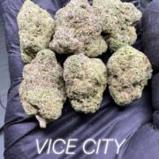 Vice City is a sativa-dominant strain with bold citrus and pine flavors and a touch of earthy spice. With THC levels between 26-29%, it delivers an uplifting and energizing high. Ideal for boosting creativity and focus, it’s great for daytime use and helps alleviate anxiety, stress, and promotes a motivated mindset.