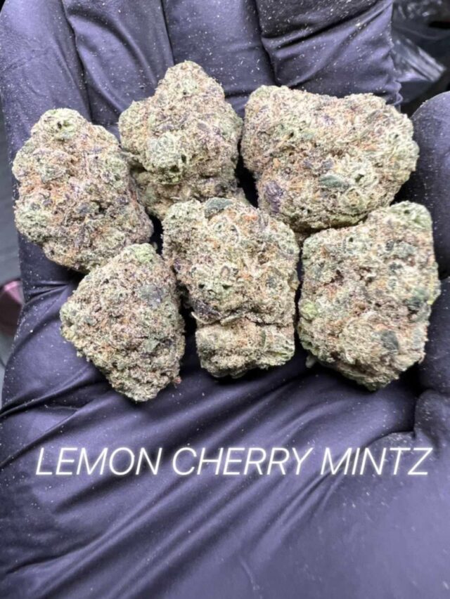 Lemon Cherry Mintz