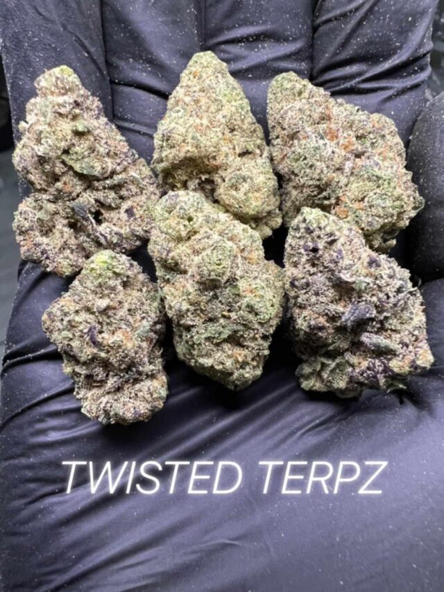 Twisted Terpz